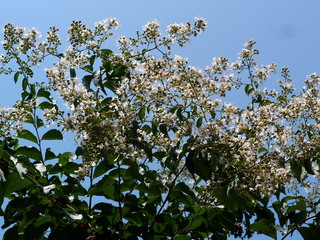 P7189140.JPG