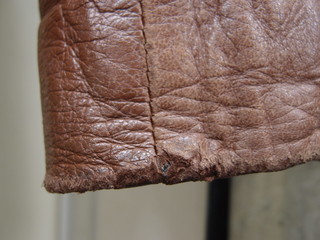 PB025001.JPG