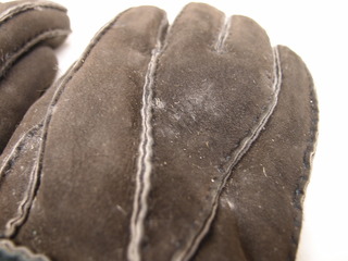 PB284315.JPG
